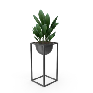 רומיאו פלנט